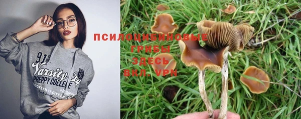 гидропоника Алзамай