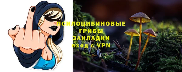 гидропоника Алзамай