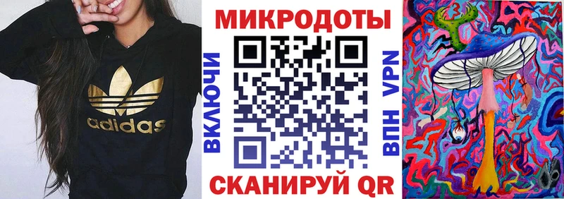 дарнет шоп  Ардон  mega онион  Псилоцибиновые грибы Psilocybe 
